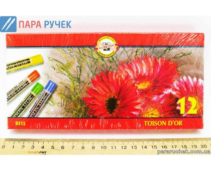 Мелки-пастель T.D'OR 12цв. (8512)