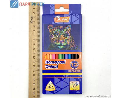 Карандаши 12цв. УМКА ЦК42-21