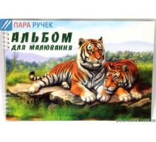 Альбом 40/120 спираль Колорит