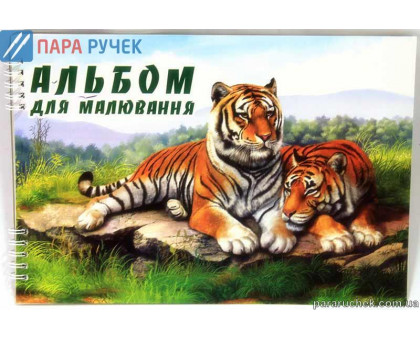 Альбом 40/120 спираль Колорит