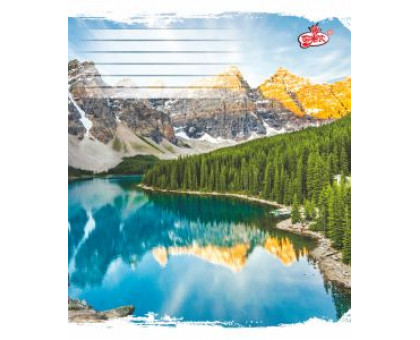 Тетрадь 96 л Бриск клетка (ТВ-17)