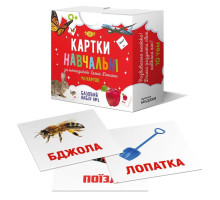 Картки навчальні за методикою Глена Домана. "Базовий набір №1"