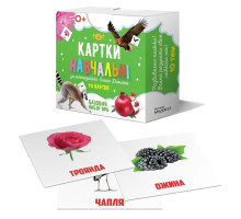 Картки навчальні за методикою Глена Домана. "Базовий набір №6", Талант