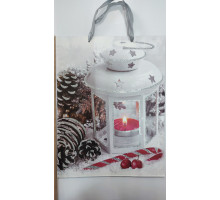 Пакет подарун. НР 31*40*12см L (5278) TL00305-L