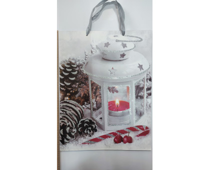 Пакет подарун. НР 31*40*12см L (5278) TL00305-L