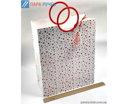 Пакет подарун. 26*32*12см GB-21209