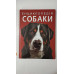 Книга А4 тв. Енцикл. "Собаки" Кр.Бук