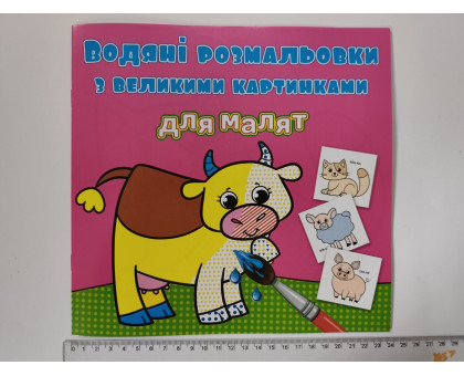 Водяні розмальовки для малят з великими картинками 23х22см, 12 видів (24шт.) Кр.Бук