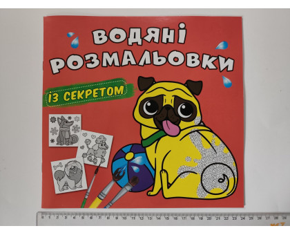 Водяні розмальовки із секретом 24х23см, 14 видів (14шт.) Кр.Бук