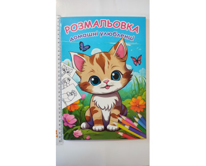 Розмальовка А4 "Домашні улюбленці", 72 сторінки (12В-010)