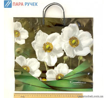 Пакет с пластик. ручкой 36*34 глянец Малый